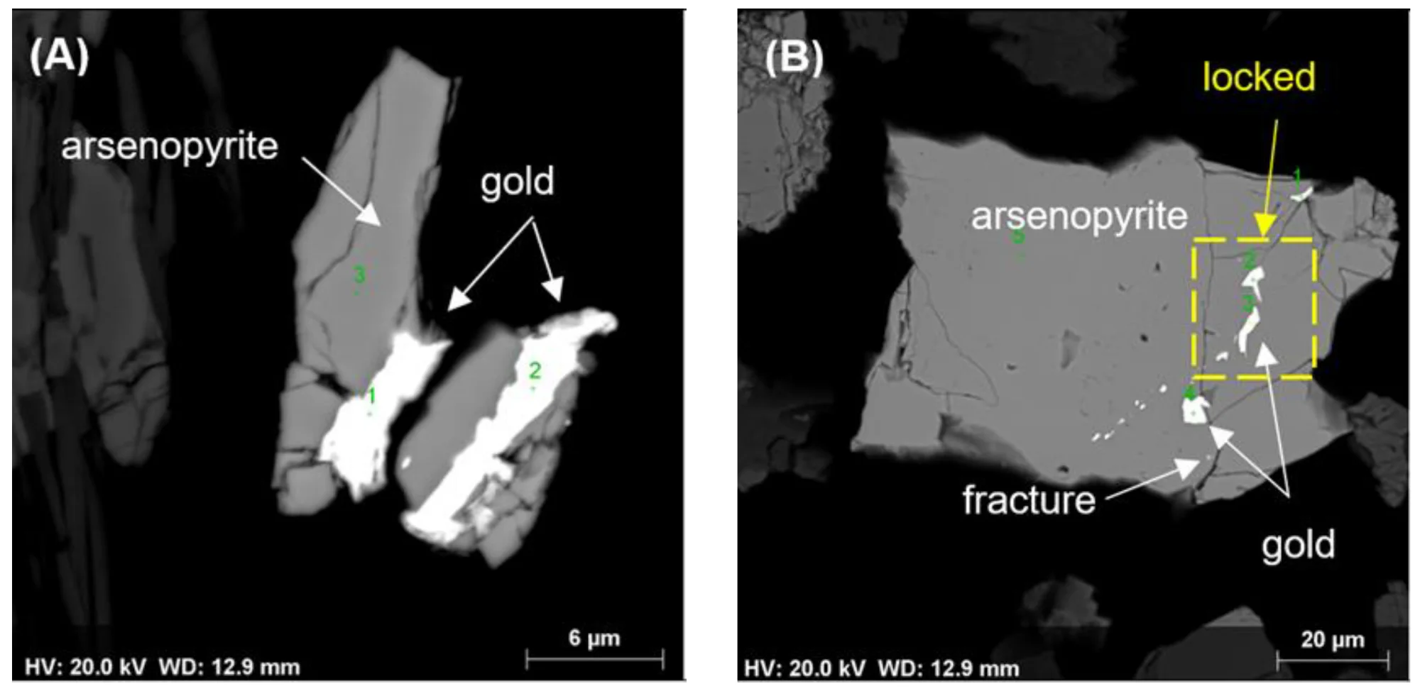 Microscopic Comparison of Exposed and Encapsulated Gold