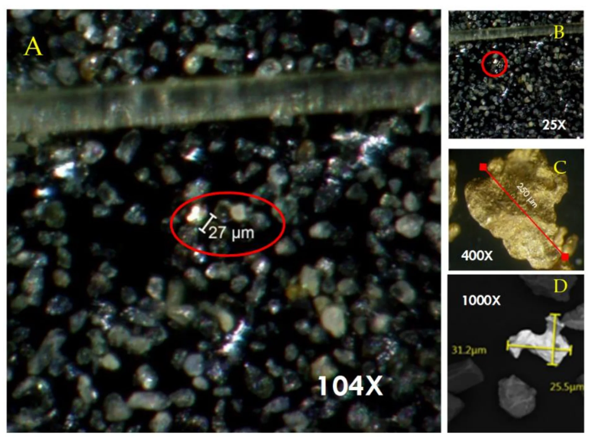 Gold Particle Morphology and Photomicrographs